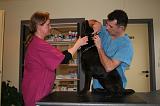 AUSCULTATION 148